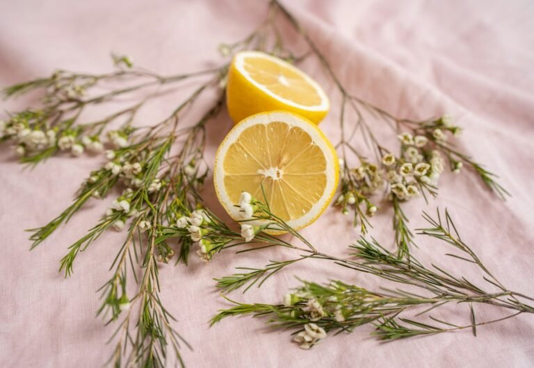 Lemon Dill Dip — Medical Weight Loss Clinic