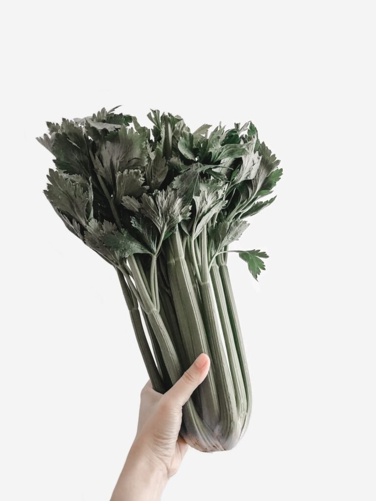 Celery Carrot Dip — Medical Weight Loss Clinic